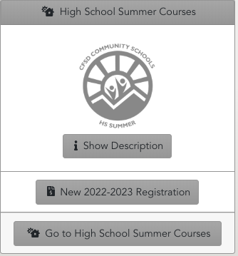 Summer Camp Icon Gray